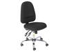 ESD-CHAIR12/S