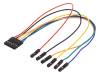 6-PIN MTE CABLE